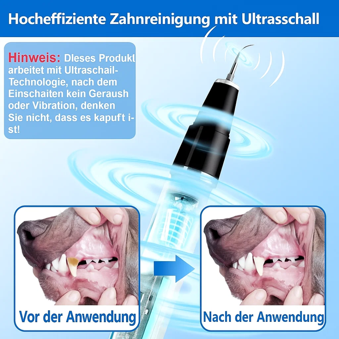 Zahnstein bei Hund & Katze entfernen | Zahnpflege für Haustiere | Zahnreiniger | PlaqueFree